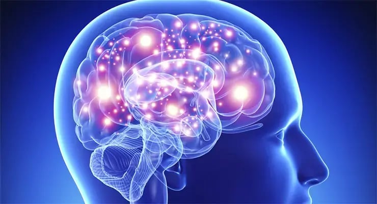 Illustration of the human brain with highlighted areas representing neural activity.