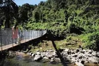 Puente colgante de madera sobre un río rodeado de vegetación en zona rural