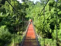 Puente colgante angosto de superficie rojiza entre abundante vegetación tropical, visto desde un extremo con una persona al fondo.