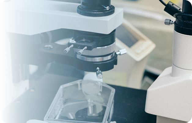 Biologia Molecular