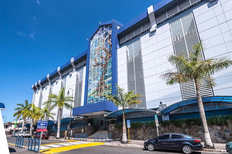 Fachada de edificio moderno en tonos azul y blanco con un gran vitral vertical en forma de árbol en el centro, rodeado de palmeras en la acera y paso peatonal bajo un cielo despejado.